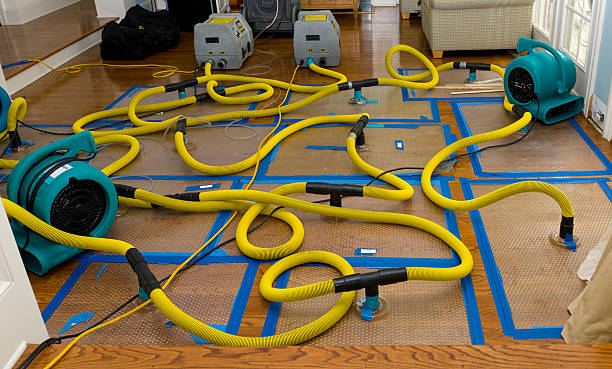 Professional Structural Drying And Dehumidification technician working in Vaughnsville, OH